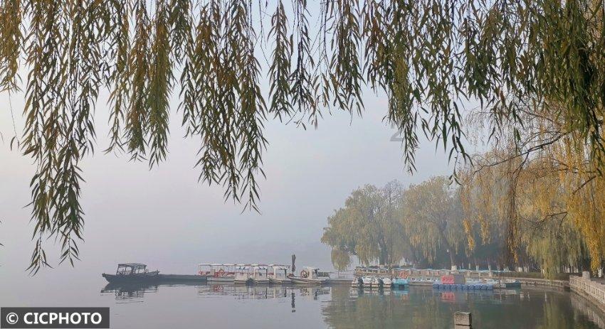 瑞德的冒险之旅中文版